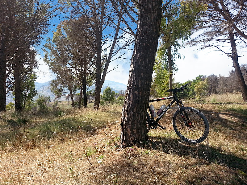 My Cannondale F4 on Monte Inici.