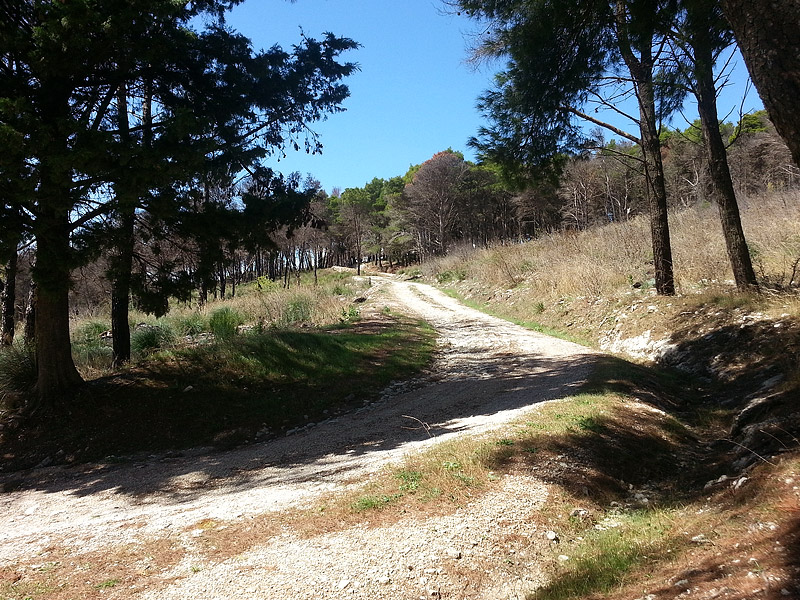 The dirt road we followed out of the wood on Monte Inici.