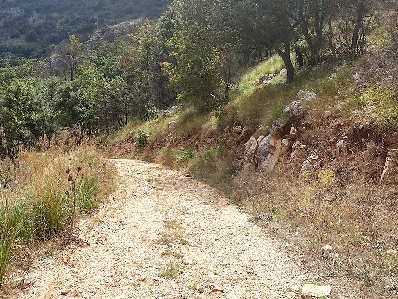 On the descend towards Castellammare del Golfo.